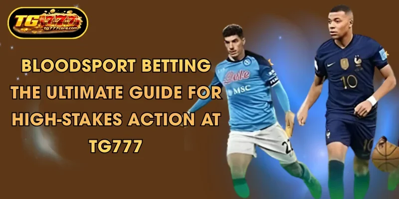 bloodsport betting the ultimate guide for high stakes action at tg777