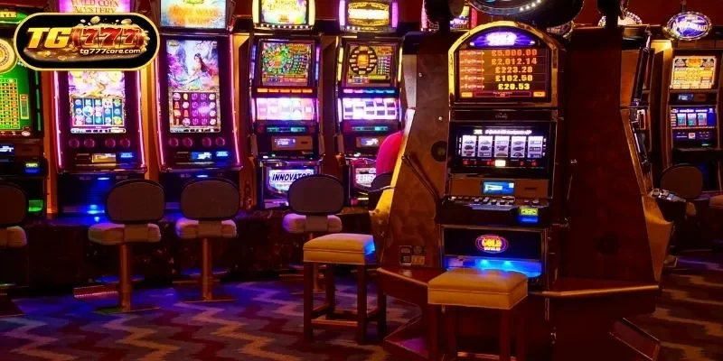 Discovering the Variety of Gaming Rooms in TG777 Live Casino