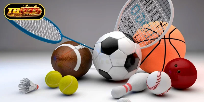 Effective Strategies for Winning in Bloodsport Betting