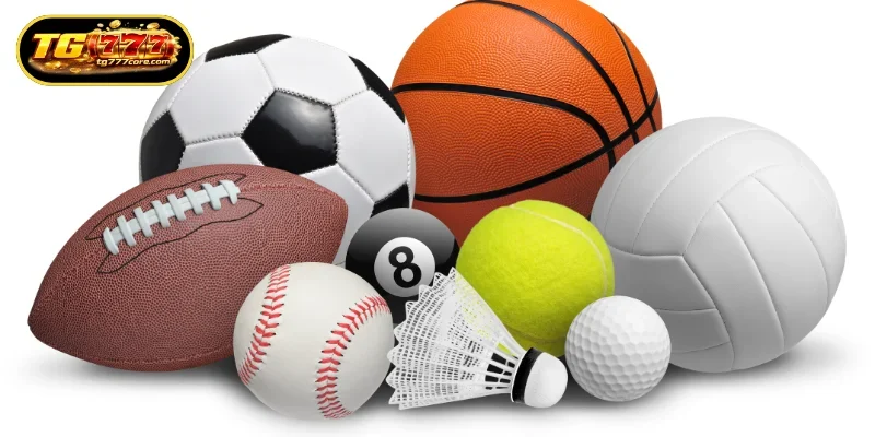 Getting Started with Professional Betting on TG777