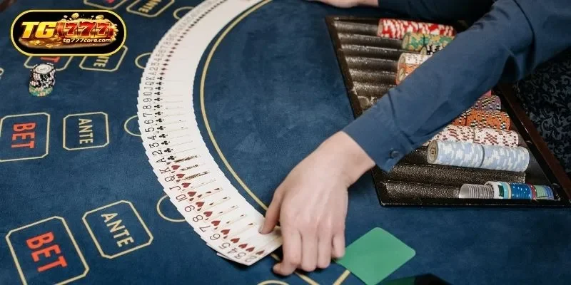 Maximizing Profits with Safety and Strategy in TG777 Live Casino